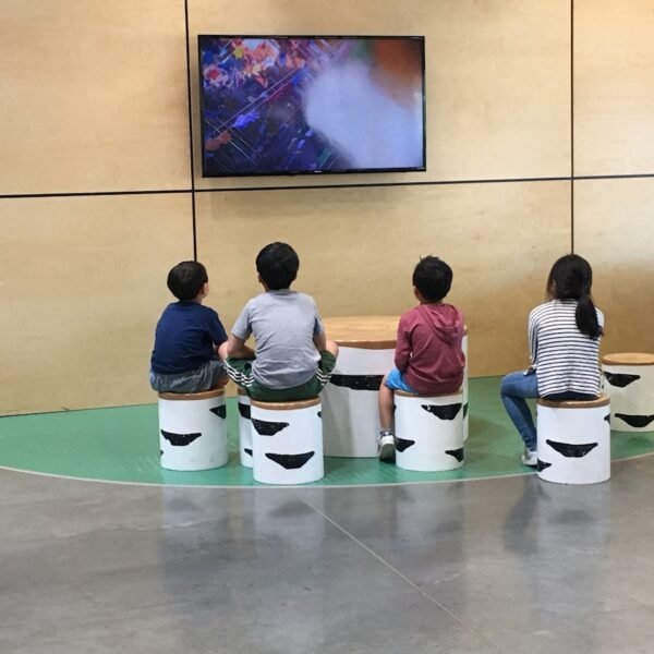 Integrating Generative AI into Curriculum: Lessons from China’s AI Education Reform