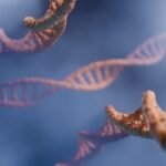 Photo Genetic sequencing