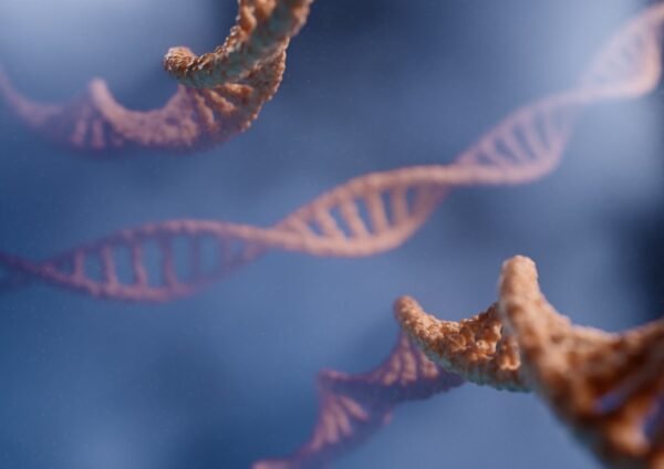 AI-Driven Precision Medicine: Personalized Treatments for Better Outcomes