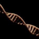 Photo Gene editing