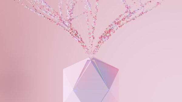 Machine Learning Models for Student Performance Prediction