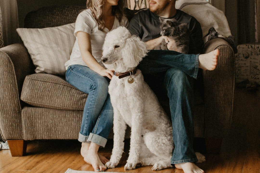 Photo AI Adoption