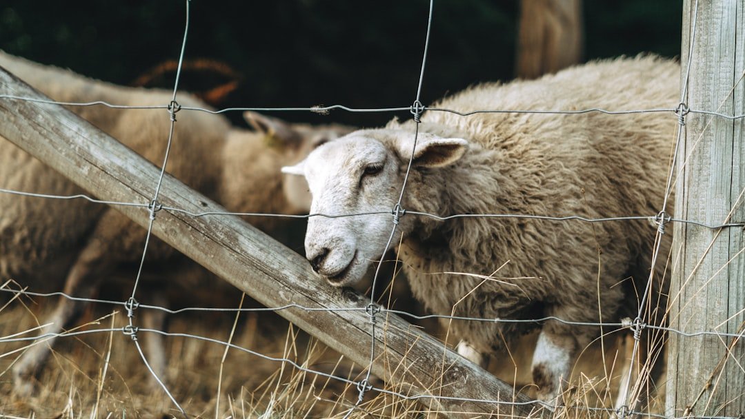 Photo Ethical Considerations