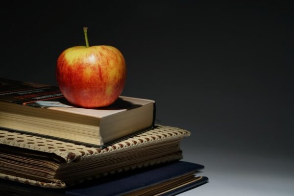 How AI Is Reshaping Teaching and Pedagogy Worldwide