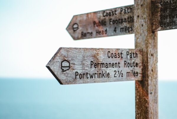 AI and Personalized Pathways in Higher Education