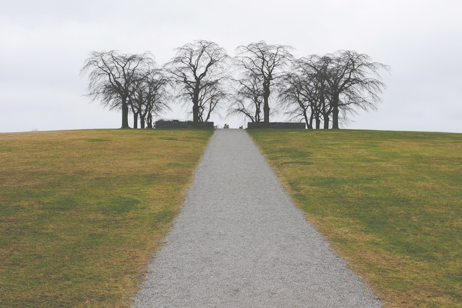 Photo Personalized Pathways