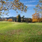 Photo AI Image Generation Features
