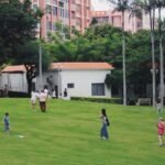 Photo AI usage in Singaporean schools