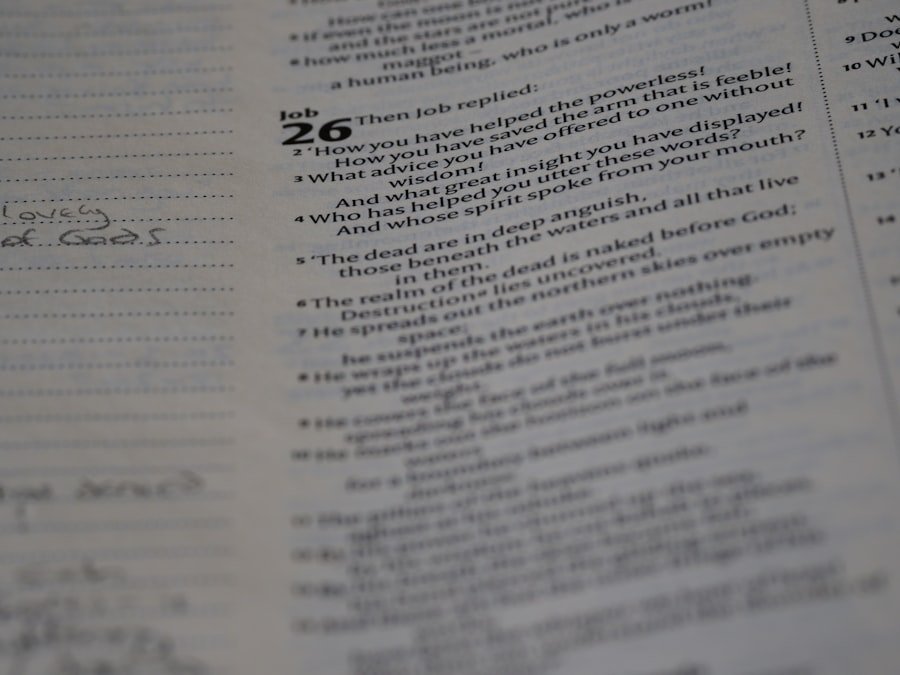 Photo Grading and Assessment