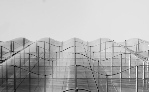 Automating Triage: How AI Agents Improve Patient Flow in 2026