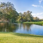 Photo Multi-Agent Systems