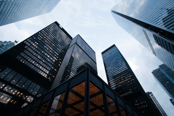 AI in finance and risk management for businesses