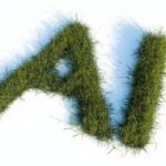 Photo AI automation