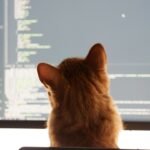 Photo vibe coding