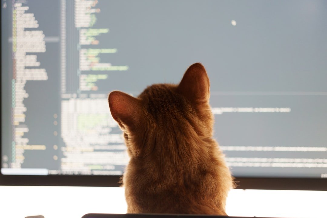Photo vibe coding