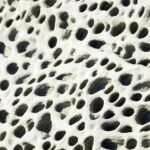 Photo Biomimetic materials