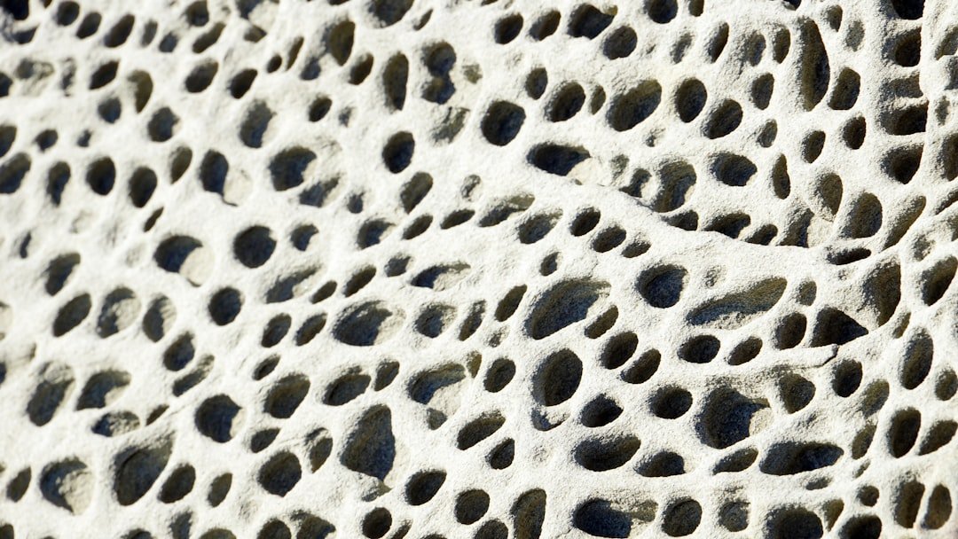 Photo Biomimetic materials