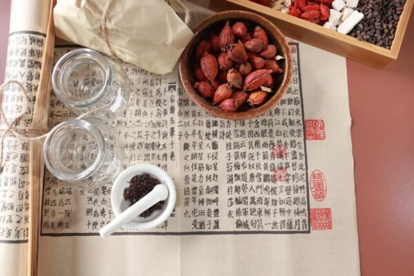 Large language models in Traditional Chinese Medicine: what the latest review shows