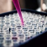 Photo clinical trials