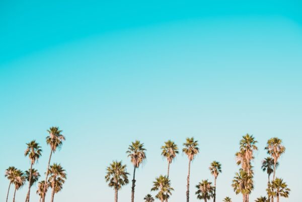 A CFO’s Guide to the Economics of AI Agents
