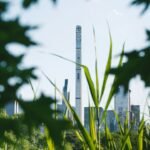 Photo AI sustainability business