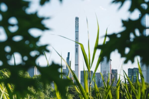 AI and Sustainability in Business