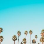 Photo AI agents online learning future